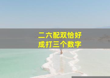 二六配双恰好成打三个数字