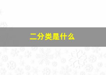 二分类是什么