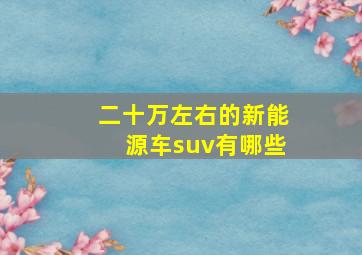 二十万左右的新能源车suv有哪些