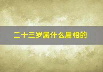 二十三岁属什么属相的