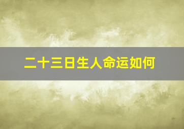 二十三日生人命运如何