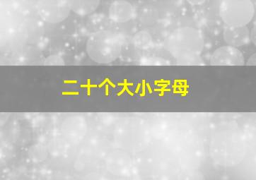 二十个大小字母