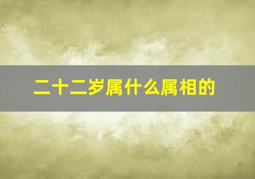 二十二岁属什么属相的