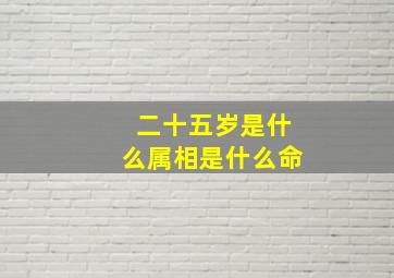 二十五岁是什么属相是什么命