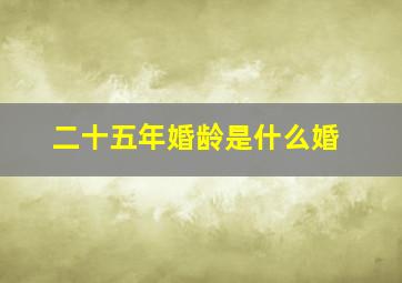 二十五年婚龄是什么婚