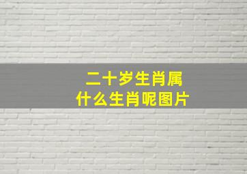 二十岁生肖属什么生肖呢图片