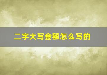 二字大写金额怎么写的