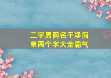 二字男网名干净简单两个字大全霸气