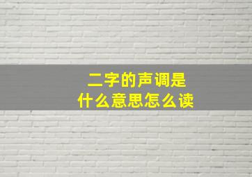 二字的声调是什么意思怎么读