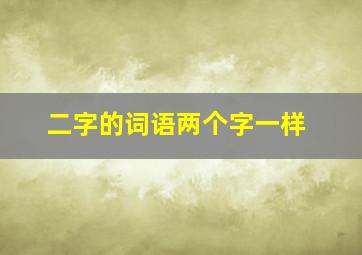 二字的词语两个字一样