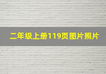 二年级上册119页图片照片