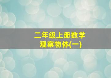 二年级上册数学观察物体(一)