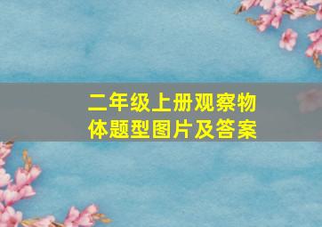 二年级上册观察物体题型图片及答案