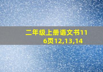 二年级上册语文书116页12,13,14