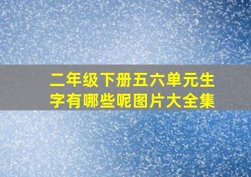 二年级下册五六单元生字有哪些呢图片大全集