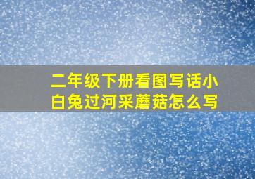 二年级下册看图写话小白兔过河采蘑菇怎么写