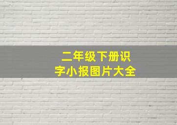 二年级下册识字小报图片大全