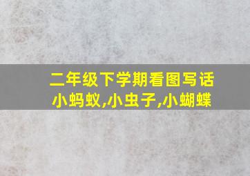 二年级下学期看图写话小蚂蚁,小虫子,小蝴蝶