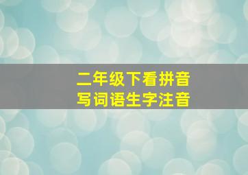 二年级下看拼音写词语生字注音