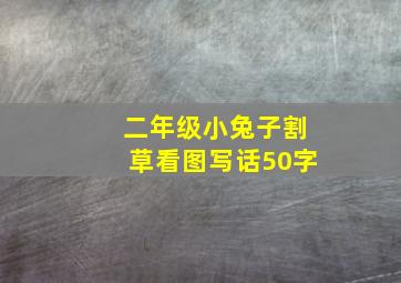 二年级小兔子割草看图写话50字