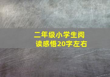 二年级小学生阅读感悟20字左右