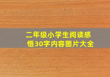 二年级小学生阅读感悟30字内容图片大全