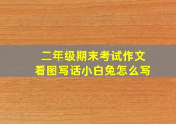 二年级期末考试作文看图写话小白兔怎么写