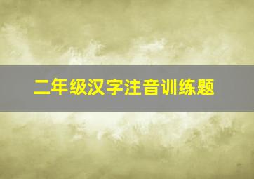 二年级汉字注音训练题