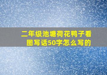 二年级池塘荷花鸭子看图写话50字怎么写的