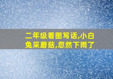 二年级看图写话,小白兔采蘑菇,忽然下雨了