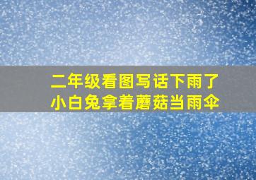 二年级看图写话下雨了小白兔拿着蘑菇当雨伞