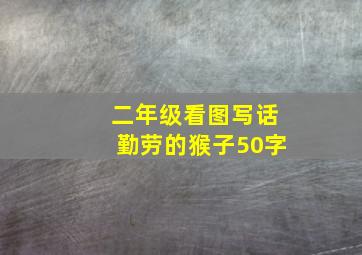 二年级看图写话勤劳的猴子50字