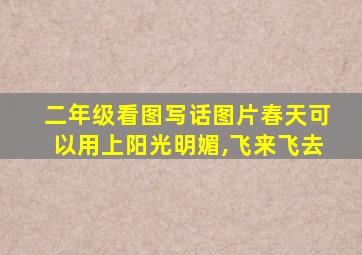 二年级看图写话图片春天可以用上阳光明媚,飞来飞去