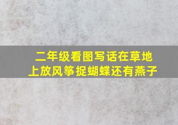 二年级看图写话在草地上放风筝捉蝴蝶还有燕子