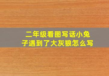 二年级看图写话小兔子遇到了大灰狼怎么写