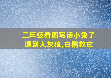 二年级看图写话小兔子遇到大灰狼,白鹅救它