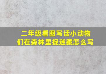 二年级看图写话小动物们在森林里捉迷藏怎么写