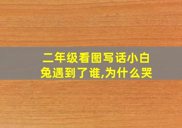 二年级看图写话小白兔遇到了谁,为什么哭