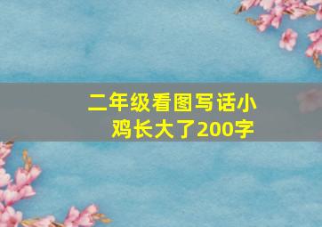 二年级看图写话小鸡长大了200字