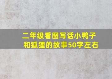 二年级看图写话小鸭子和狐狸的故事50字左右