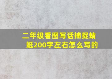 二年级看图写话捕捉蜻蜓200字左右怎么写的