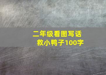 二年级看图写话救小鸭子100字