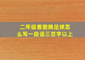 二年级看图踢足球怎么写一段话三百字以上