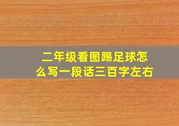 二年级看图踢足球怎么写一段话三百字左右