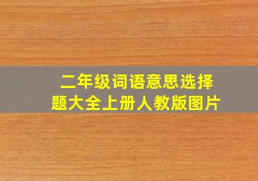 二年级词语意思选择题大全上册人教版图片