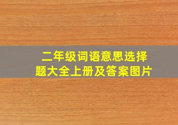 二年级词语意思选择题大全上册及答案图片