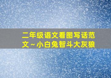 二年级语文看图写话范文～小白兔智斗大灰狼