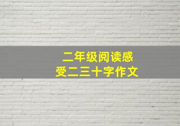 二年级阅读感受二三十字作文