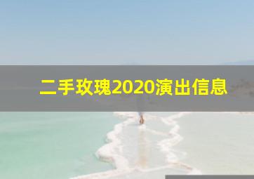 二手玫瑰2020演出信息