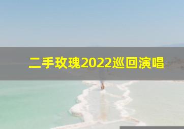 二手玫瑰2022巡回演唱